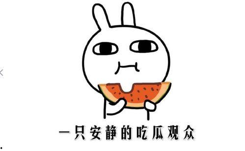 吃瓜娱乐配音制作方法,打造你的专属趣味声音